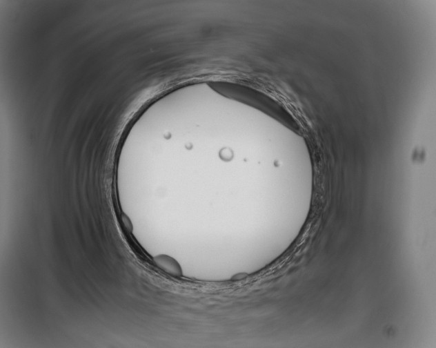 X0000099550003200806061527