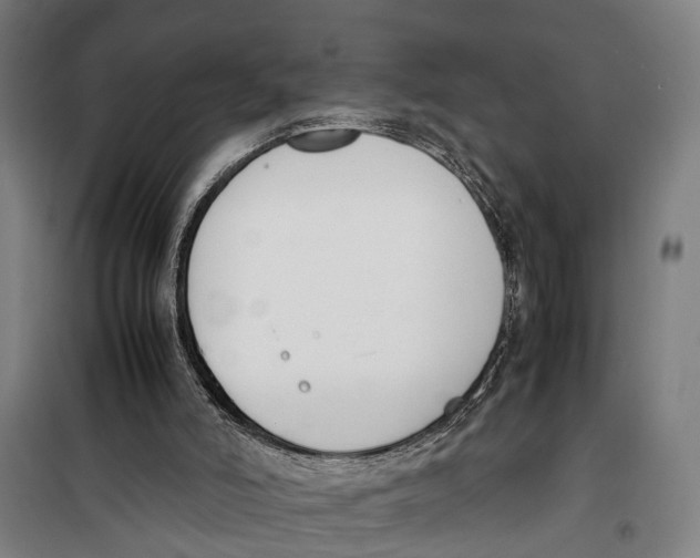 X0000099550006200806061527