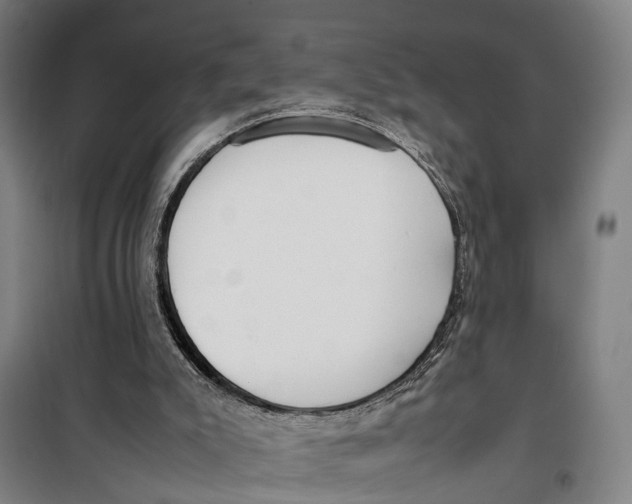 X0000099550007200806061527