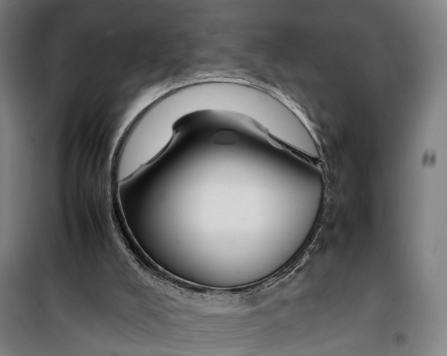 X0000099550008200806061527