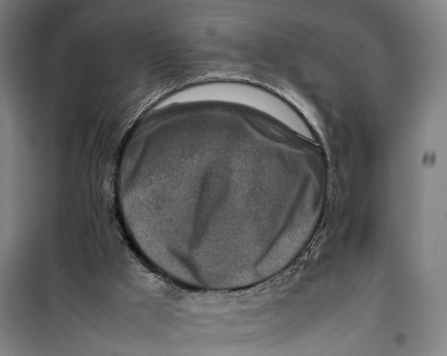 X0000099550009200806061527