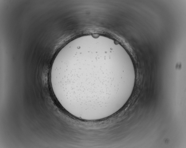 X0000099550010200806061527