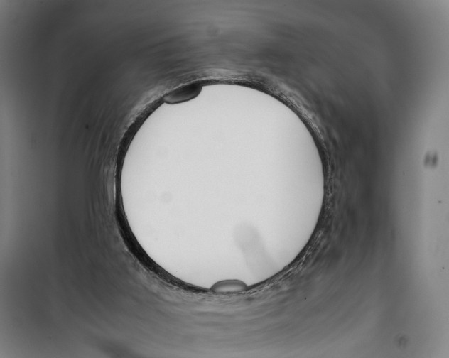 X0000099550011200806061527