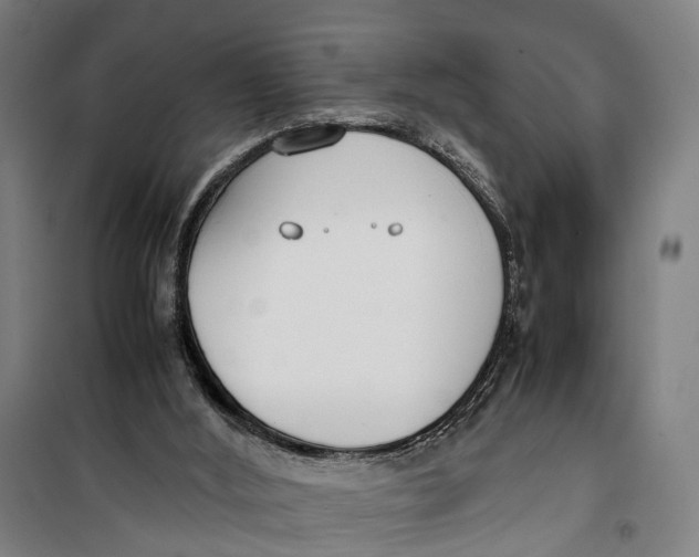 X0000099550012200806061527