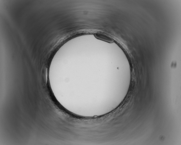 X0000099550013200806061527