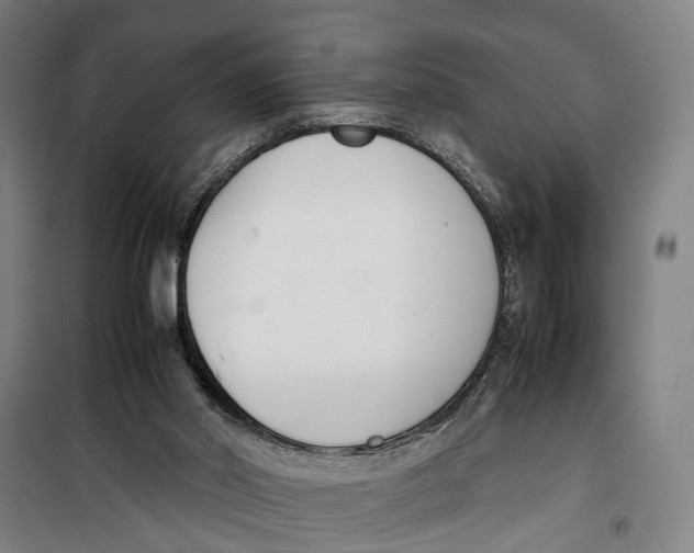 X0000099550014200806061527