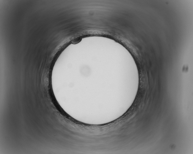 X0000099550015200806061527