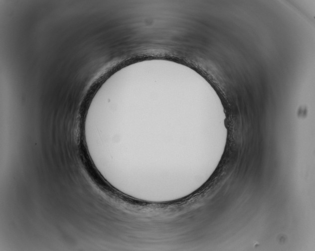 X0000099550016200806061527