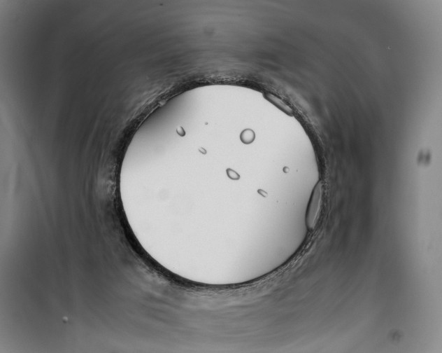 X0000099550017200806061527