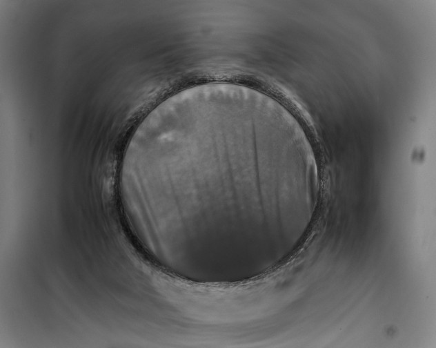 X0000099550018200806061527