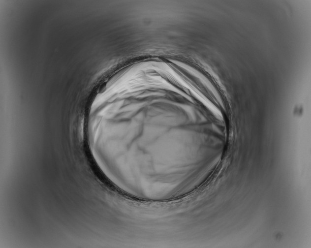 X0000099550019200806061527