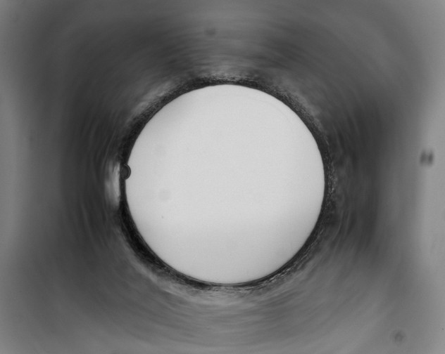 X0000099550020200806061527