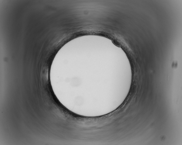 X0000099550021200806061527