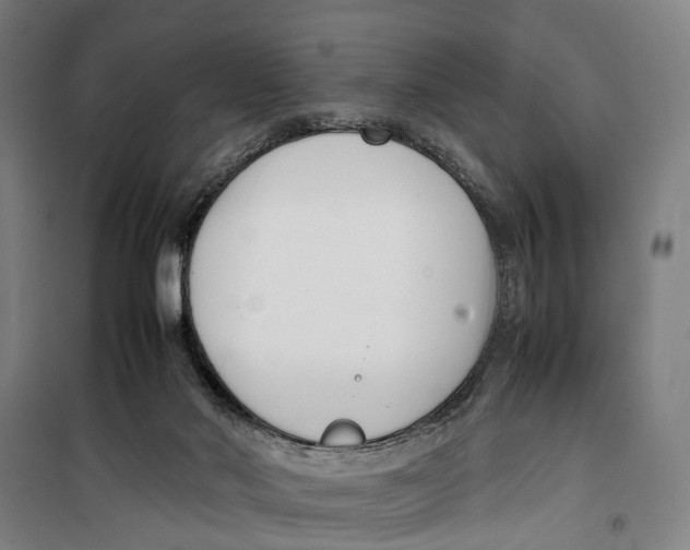 X0000099550022200806061527