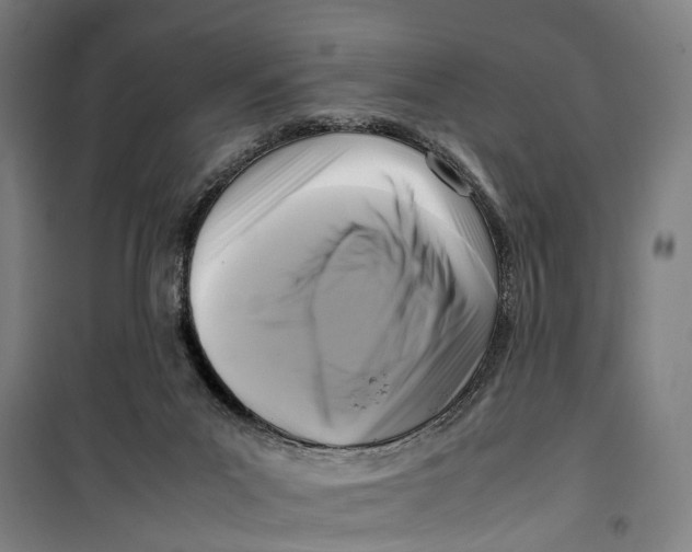 X0000099550023200806061527