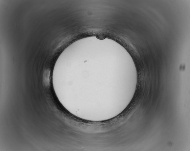 X0000099550024200806061527