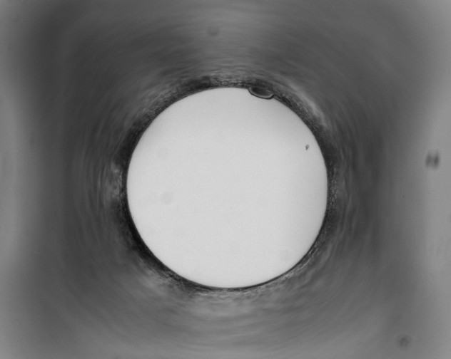 X0000099550025200806061527