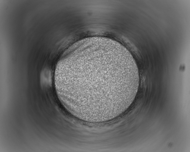 X0000099550026200806061527