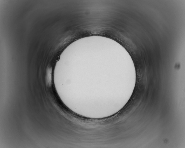 X0000099550028200806061527