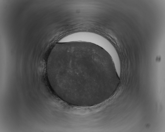 X0000099550029200806061527