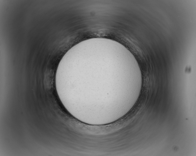 X0000099550030200806061527