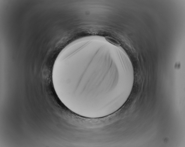 X0000099550031200806061527