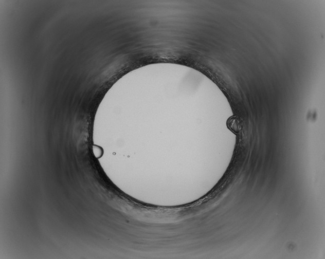 X0000099550032200806061527