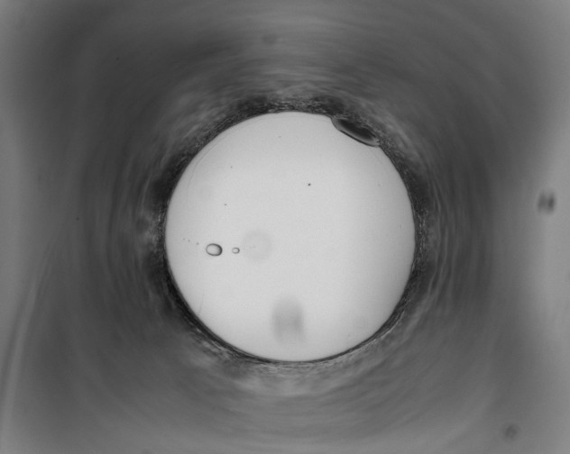 X0000099550033200806061527