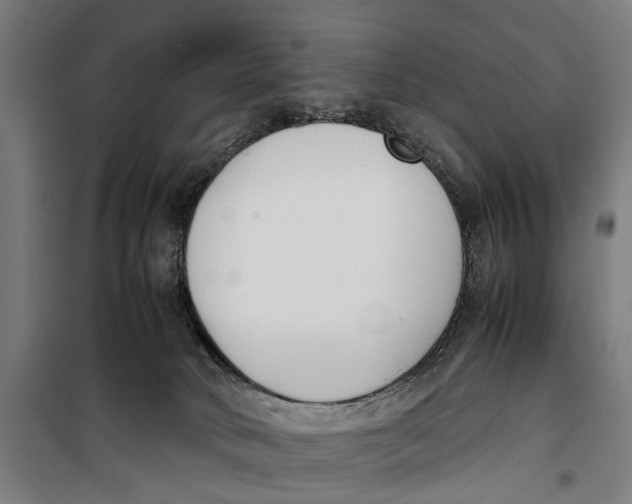 X0000099550034200806061527