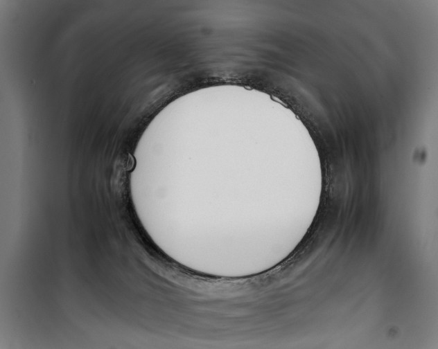 X0000099550036200806061527