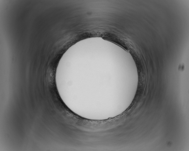 X0000099550037200806061527