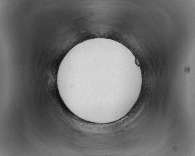 X0000099550040200806061527