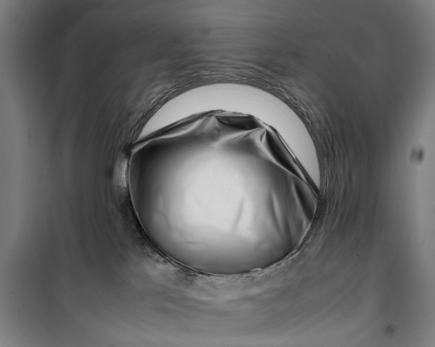 X0000099550041200806061527