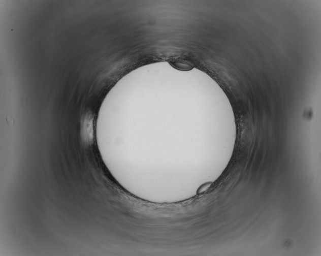 X0000099550042200806061527