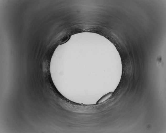 X0000099550044200806061527