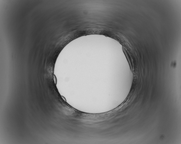 X0000099550045200806061527