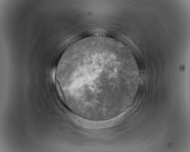 X0000099550047200806061527