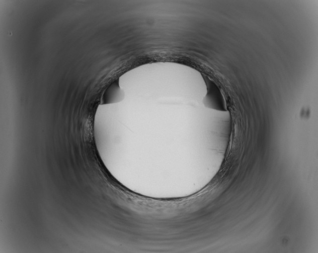 X0000099550048200806061527