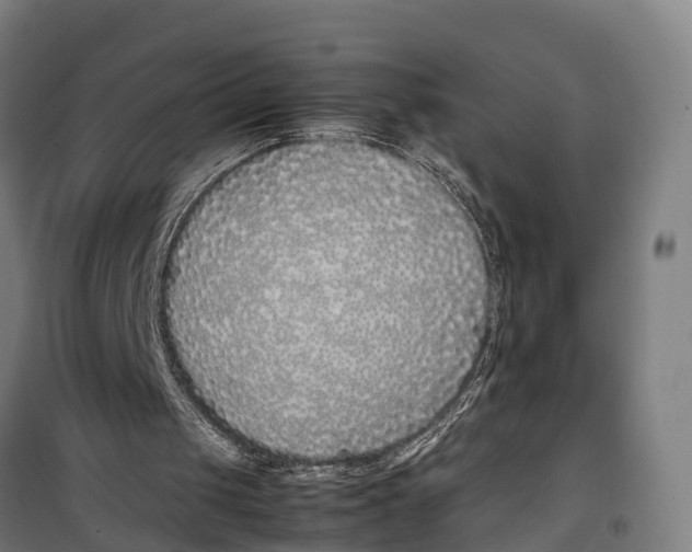 X0000099550049200806061526