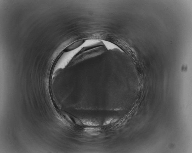 X0000099550051200806061526