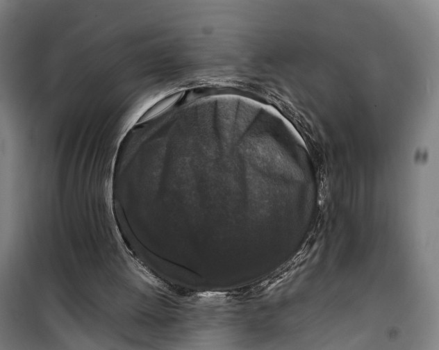 X0000099550052200806061526