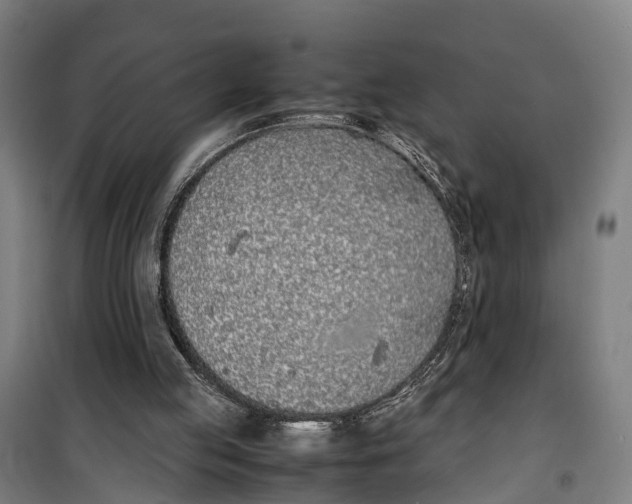 X0000099550053200806061526