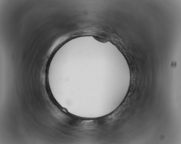 X0000099550054200806061526