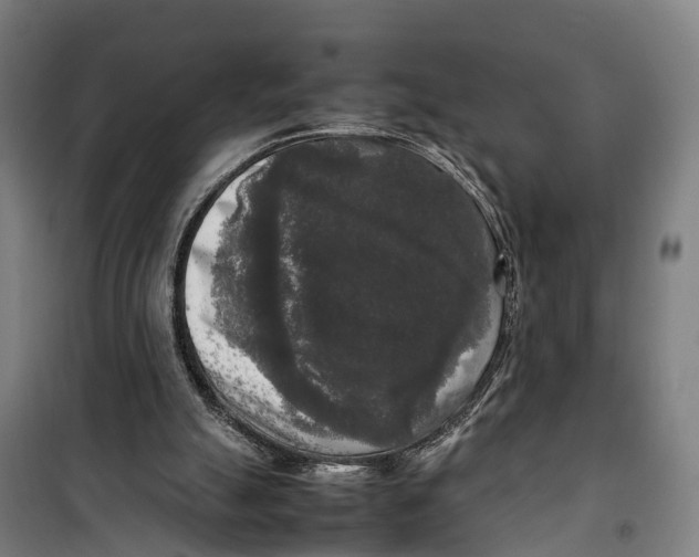 X0000099550055200806061526