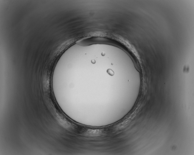 X0000099550057200806061526