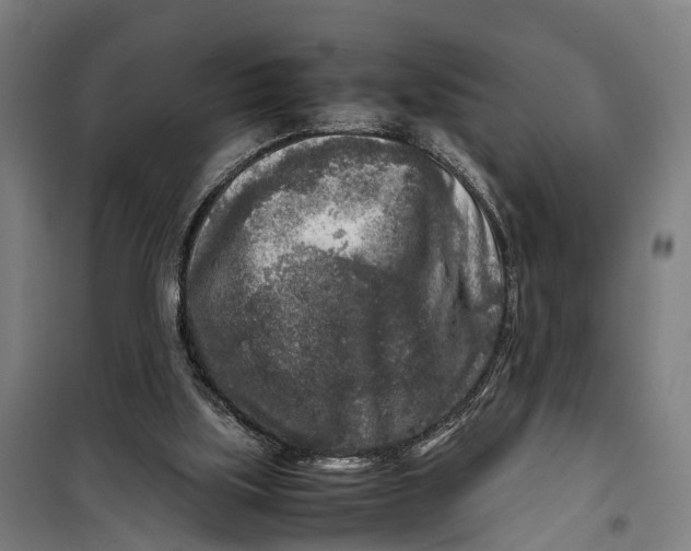 X0000099550059200806061526