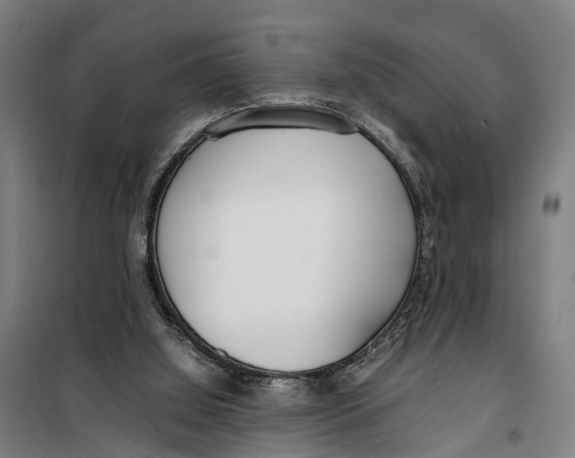 X0000099550060200806061526