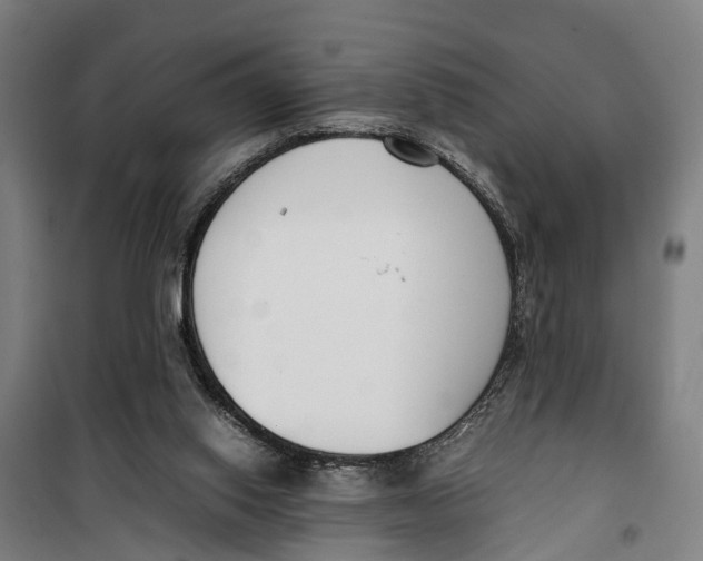 X0000099550062200806061526