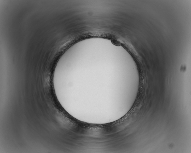 X0000099550066200806061526