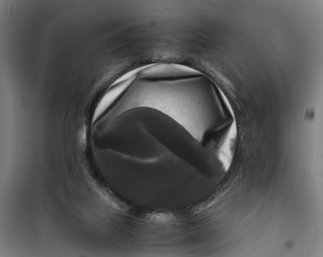 X0000099550067200806061526